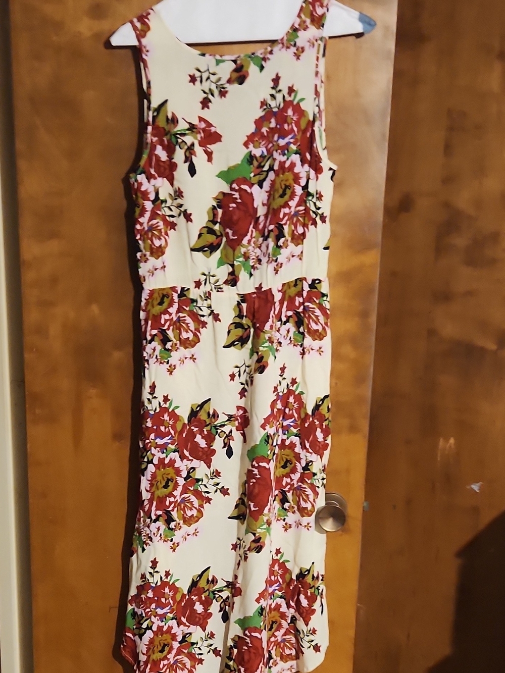Wishful Park Cream High-Low Dress with Red & Green Floral Print - Picture 3 of 3